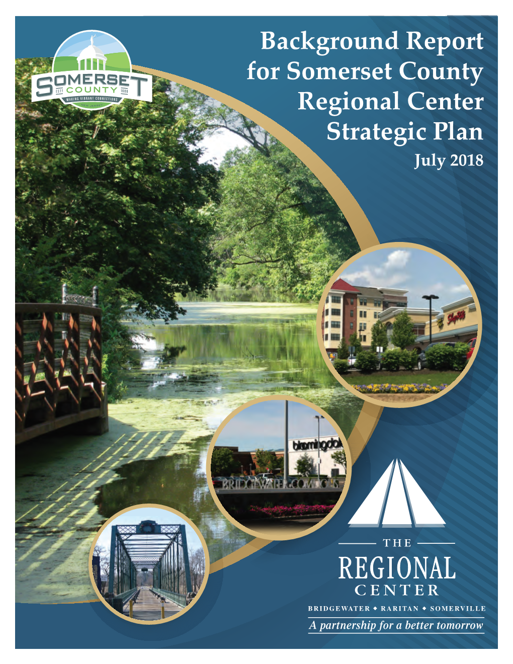 Background Report for Somerset County Regional Center Strategic Plan July 2018
