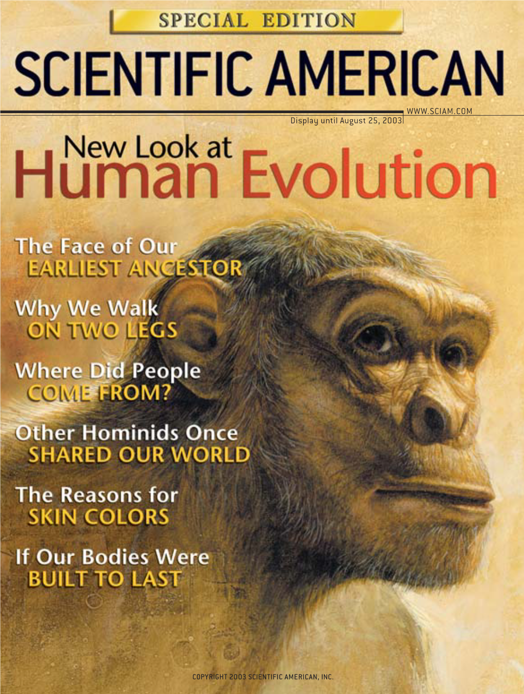 New Look at Human Evolution Is Published by the Staff of Scientiﬁc American, with Project Management By: the Original Human