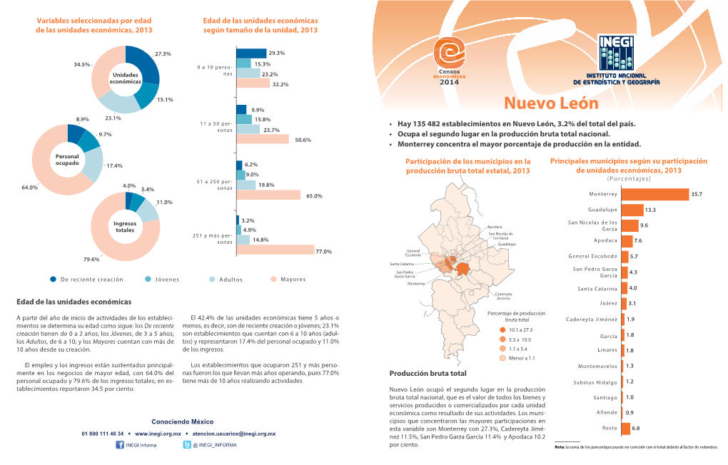 Minimonografía. Nuevo León. Censos Económicos 2014