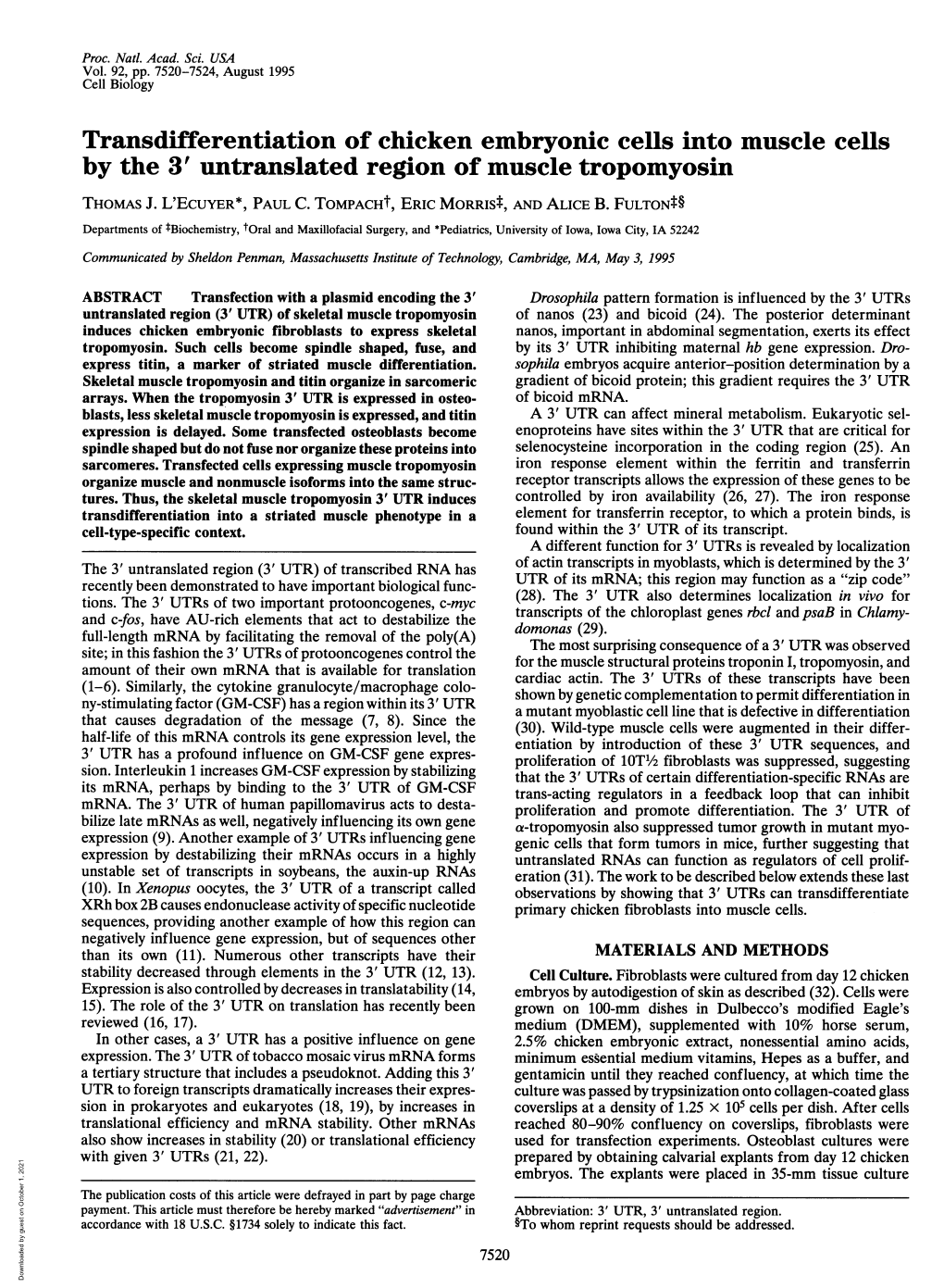 Transdifferentiation of Chicken Embryonic Cells Into Muscle Cells by the 3' Untranslated Region of Muscle Tropomyosin THOMAS J