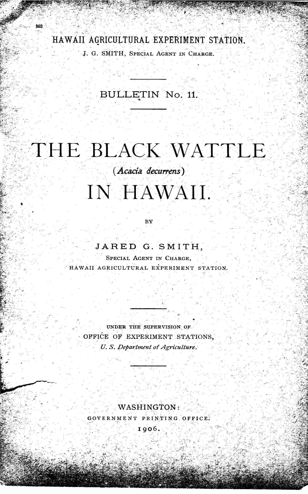 The Black Wattle in Hawaii and Recommend the Same for Publication As Bulle­ Tin No