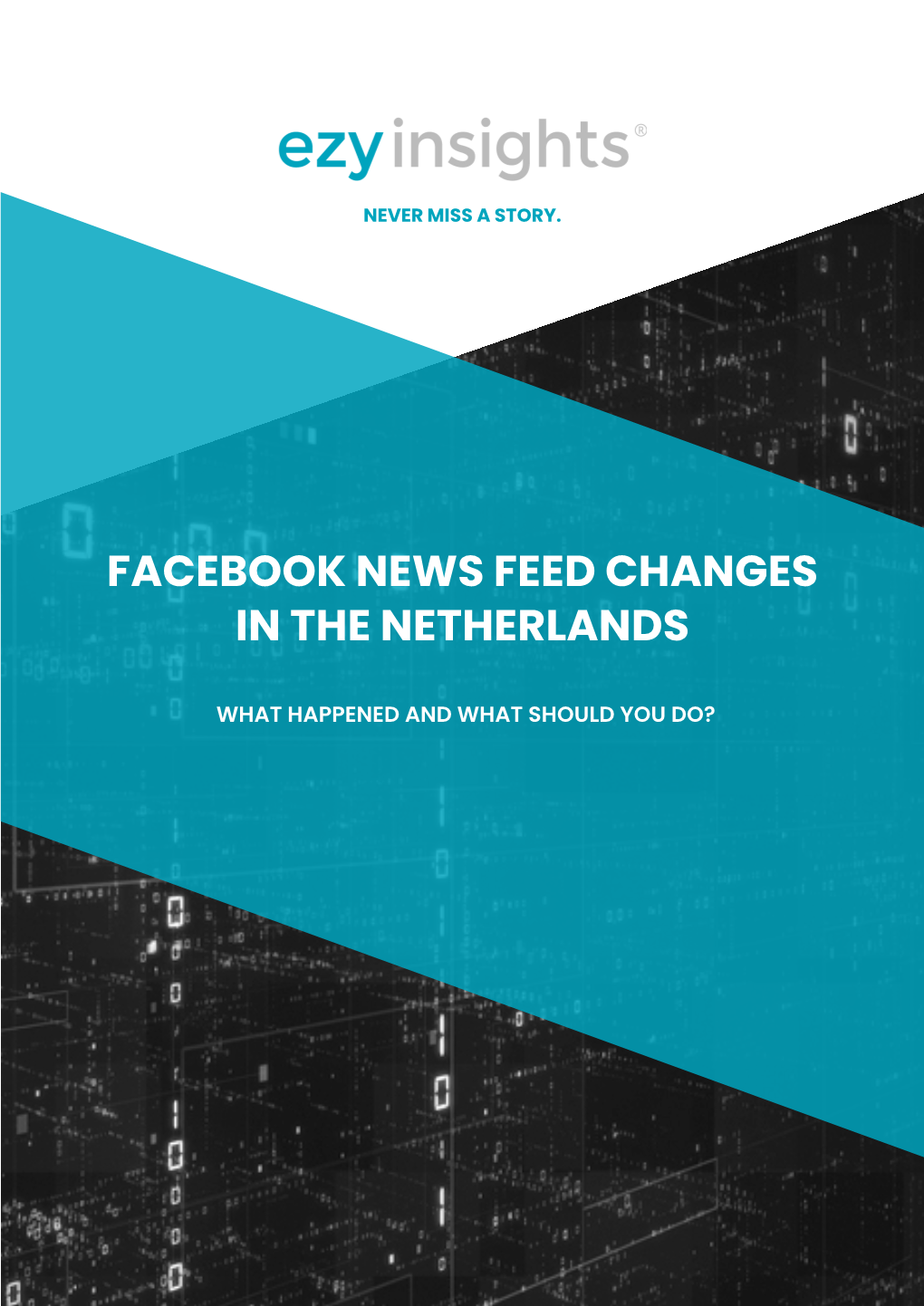 Facebook News Feed Changes in the Netherlands