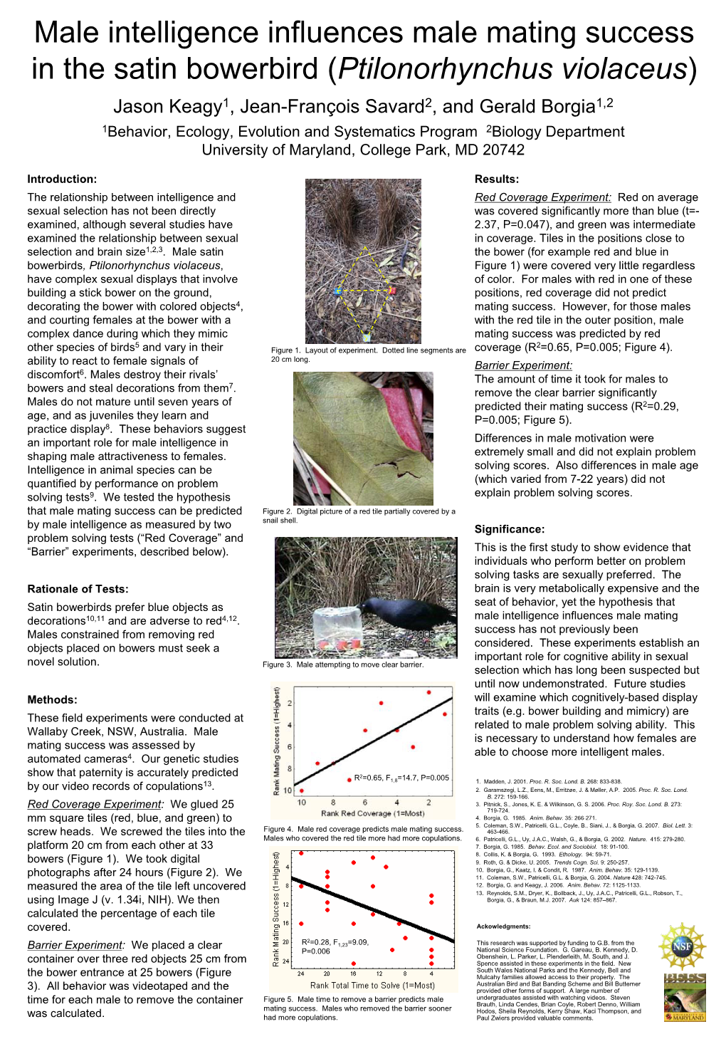 Male Intelligence Influences Male Mating Success in the Satin