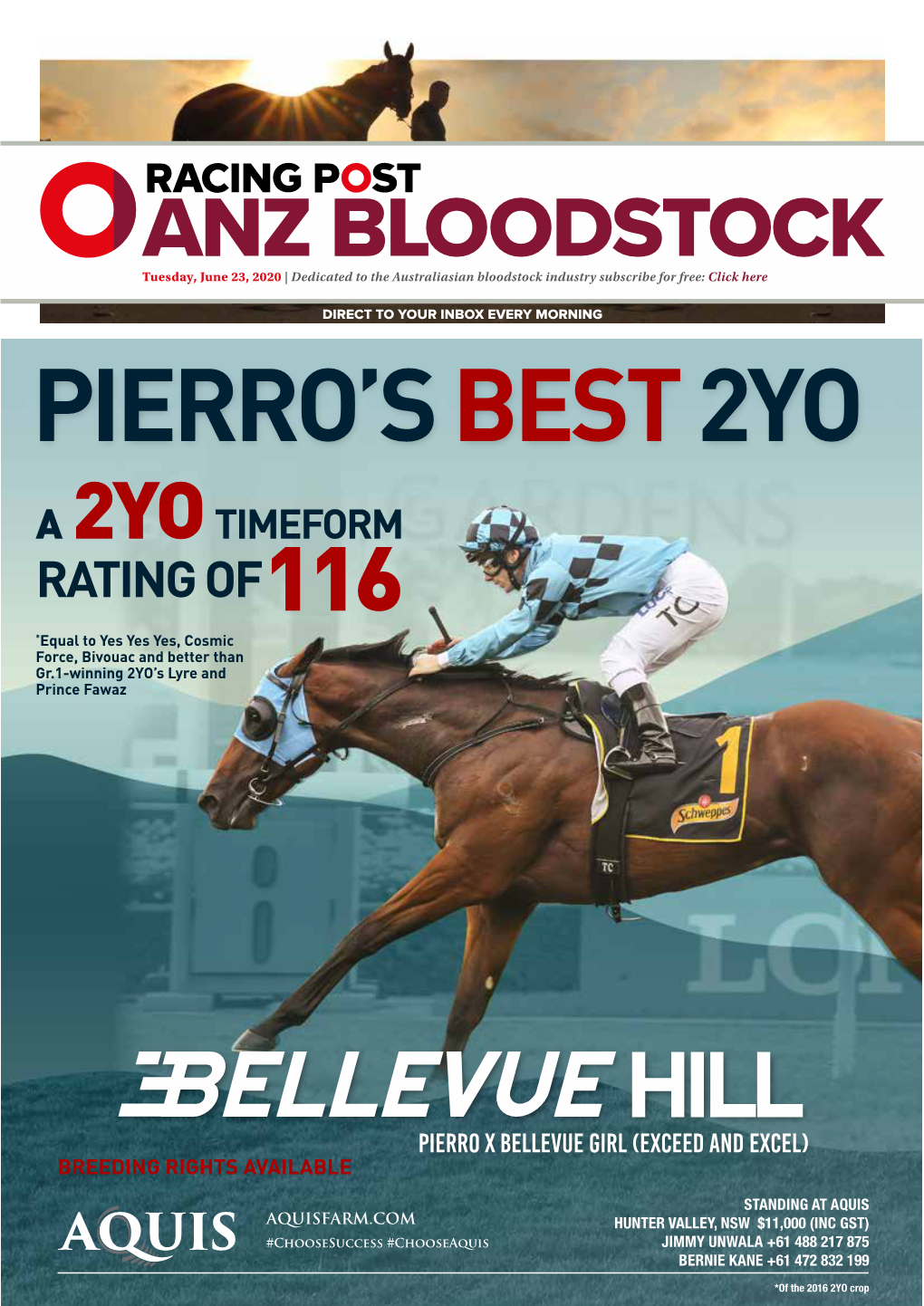 Pierro'sbest2yo