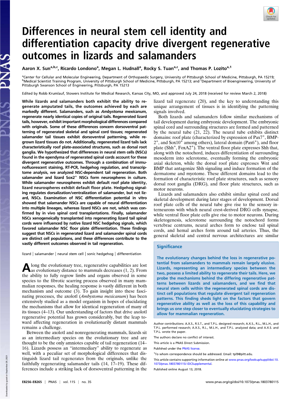 Differences in Neural Stem Cell Identity and Differentiation Capacity Drive Divergent Regenerative Outcomes in Lizards and Salamanders