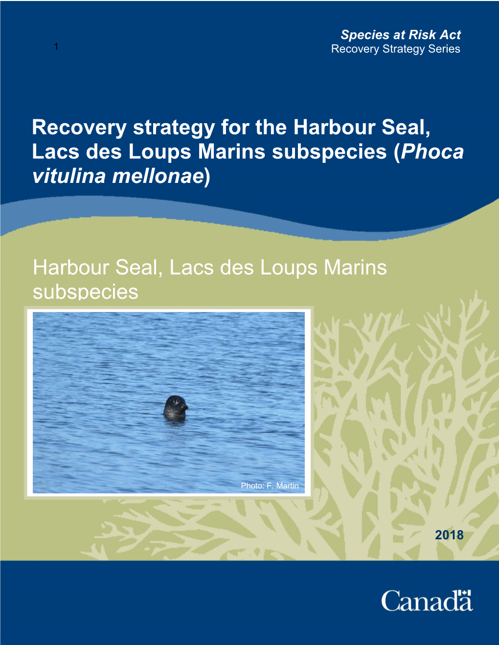 Recovery Strategy for the Harbour Seal, Lacs Des Loups Marins Subspecies (Phoca Vitulina Mellonae)