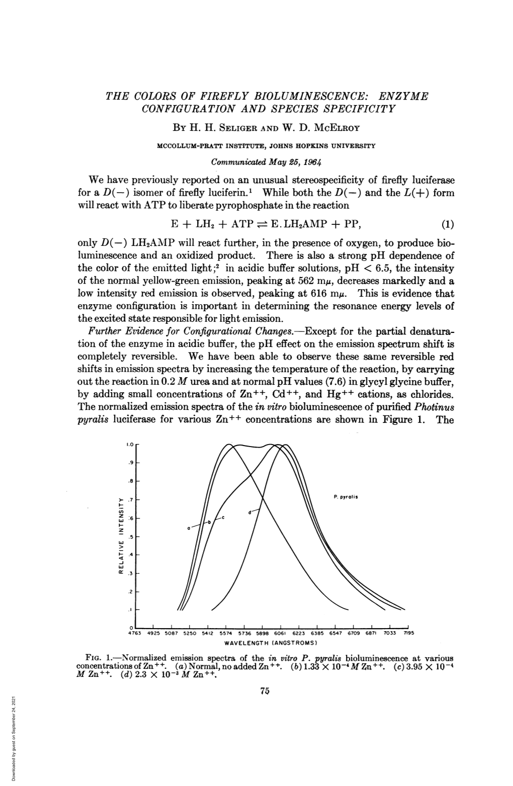 The Colors of Firefly Bioluminescence: Enzyme Configuration and Species Specificity by H