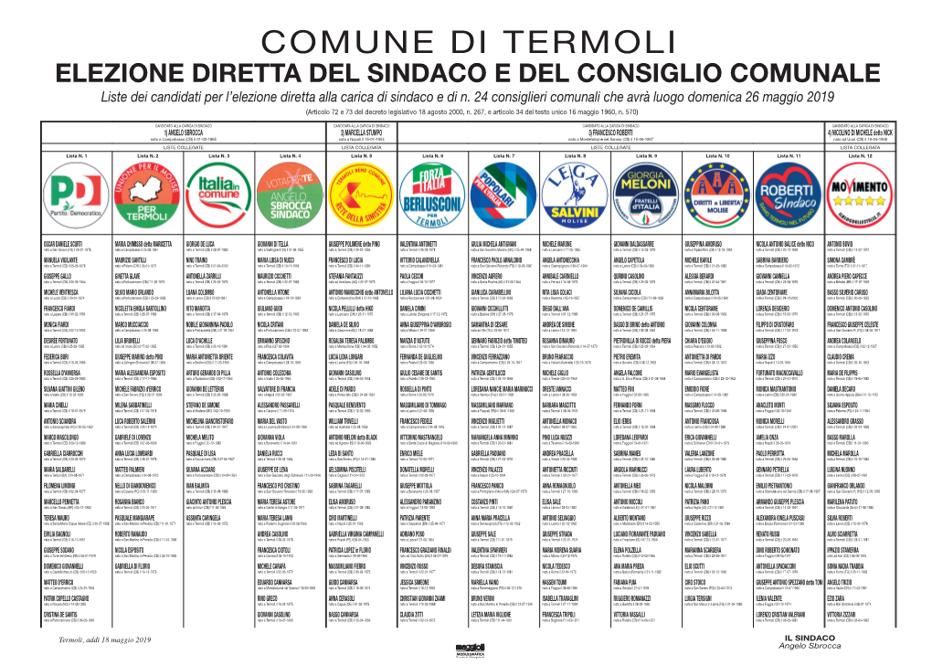 Liste Dei Candidati Per L'elezione Diretta Alla Carica Di Sindaco E Di N