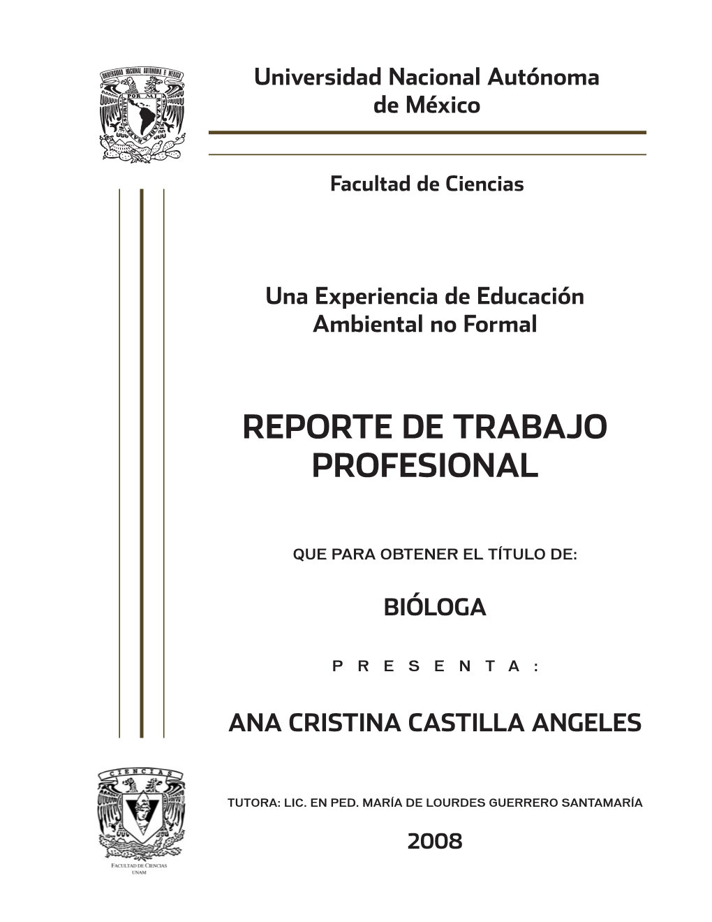 Reporte De Trabajo Profesional