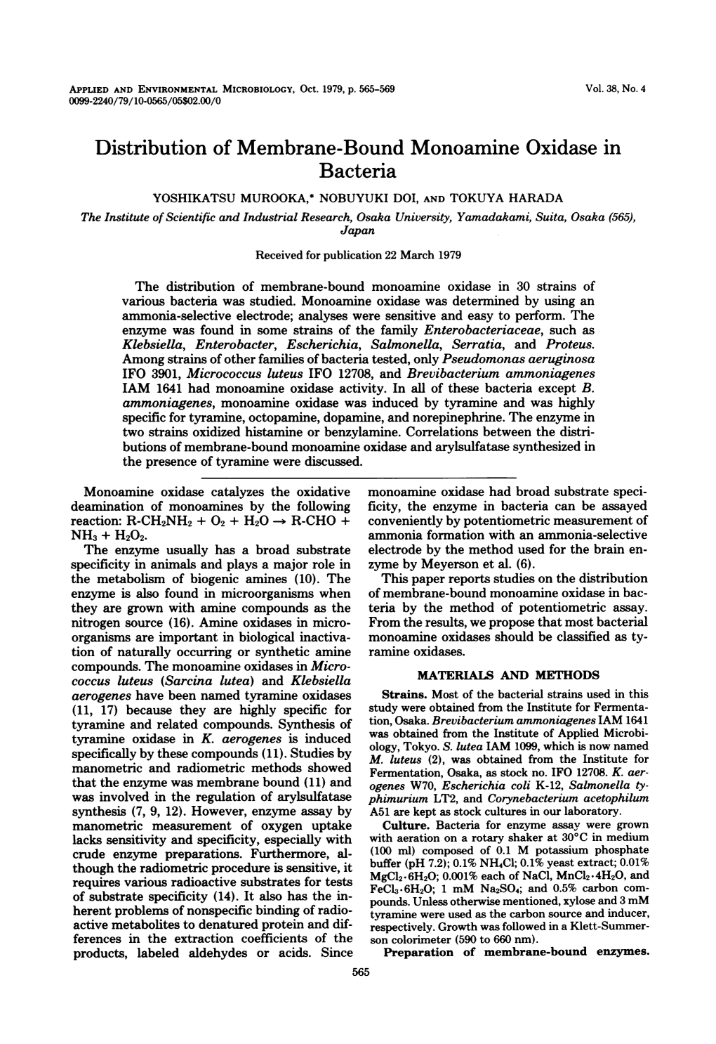 Distribution of Membrane-Bound Monoamine Oxidase in Bacteria