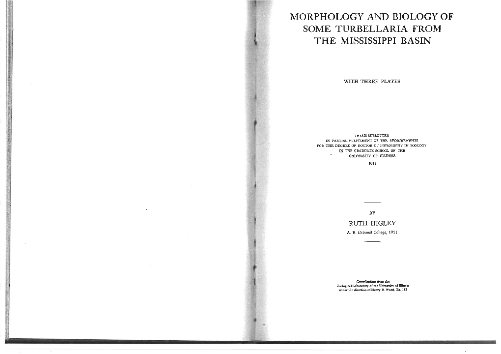 Morphology and Biology of Some Turbellaria from the Mississippi Basin