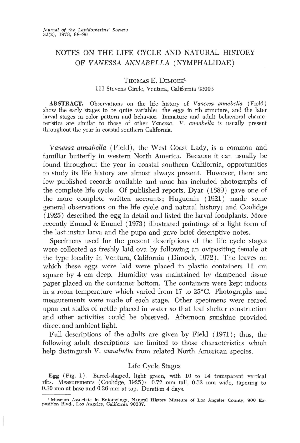 Notes on the Life Cycle and Natural History of Vanessa Annabella (Nymphalidae)