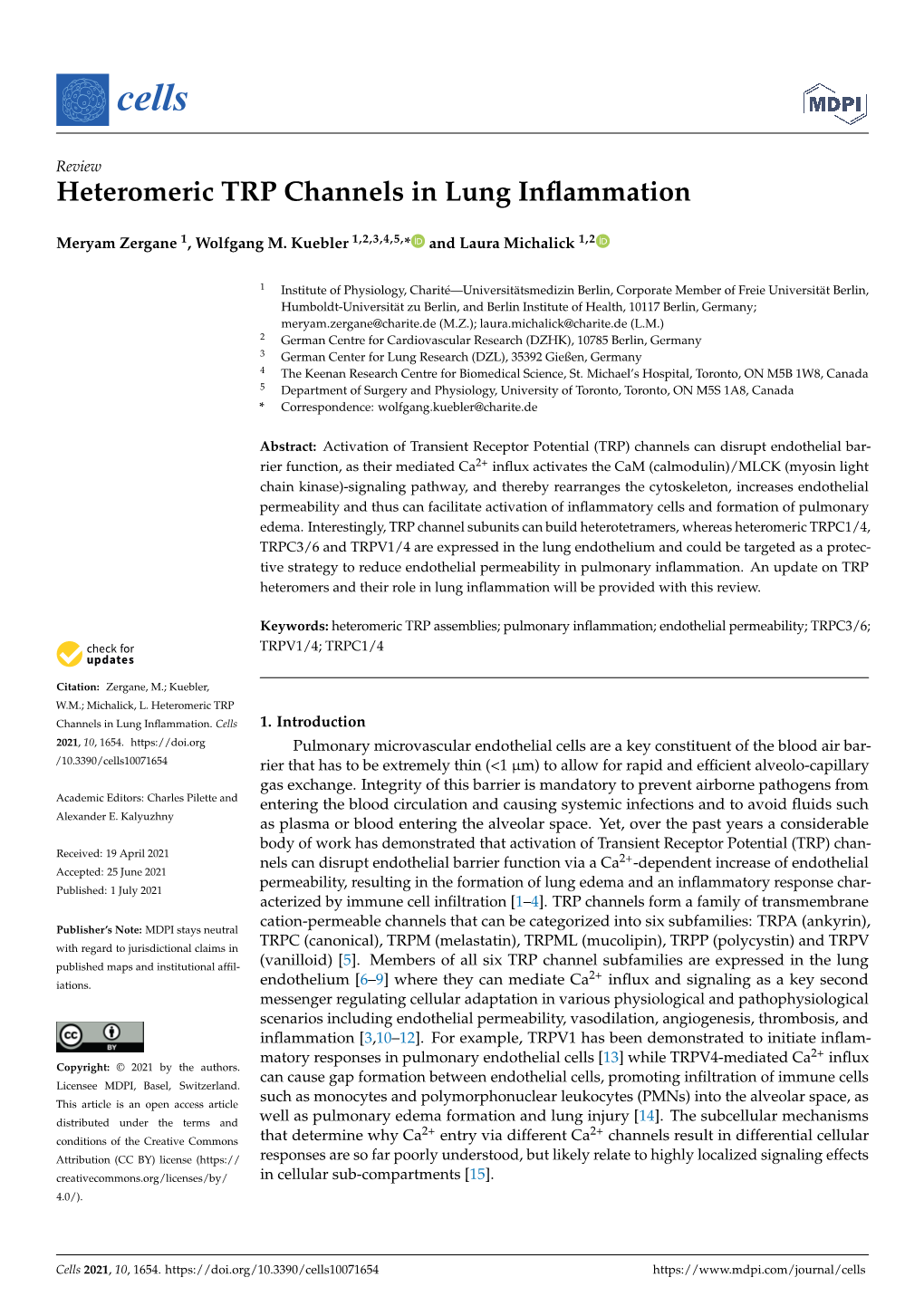 Heteromeric TRP Channels in Lung Inflammation