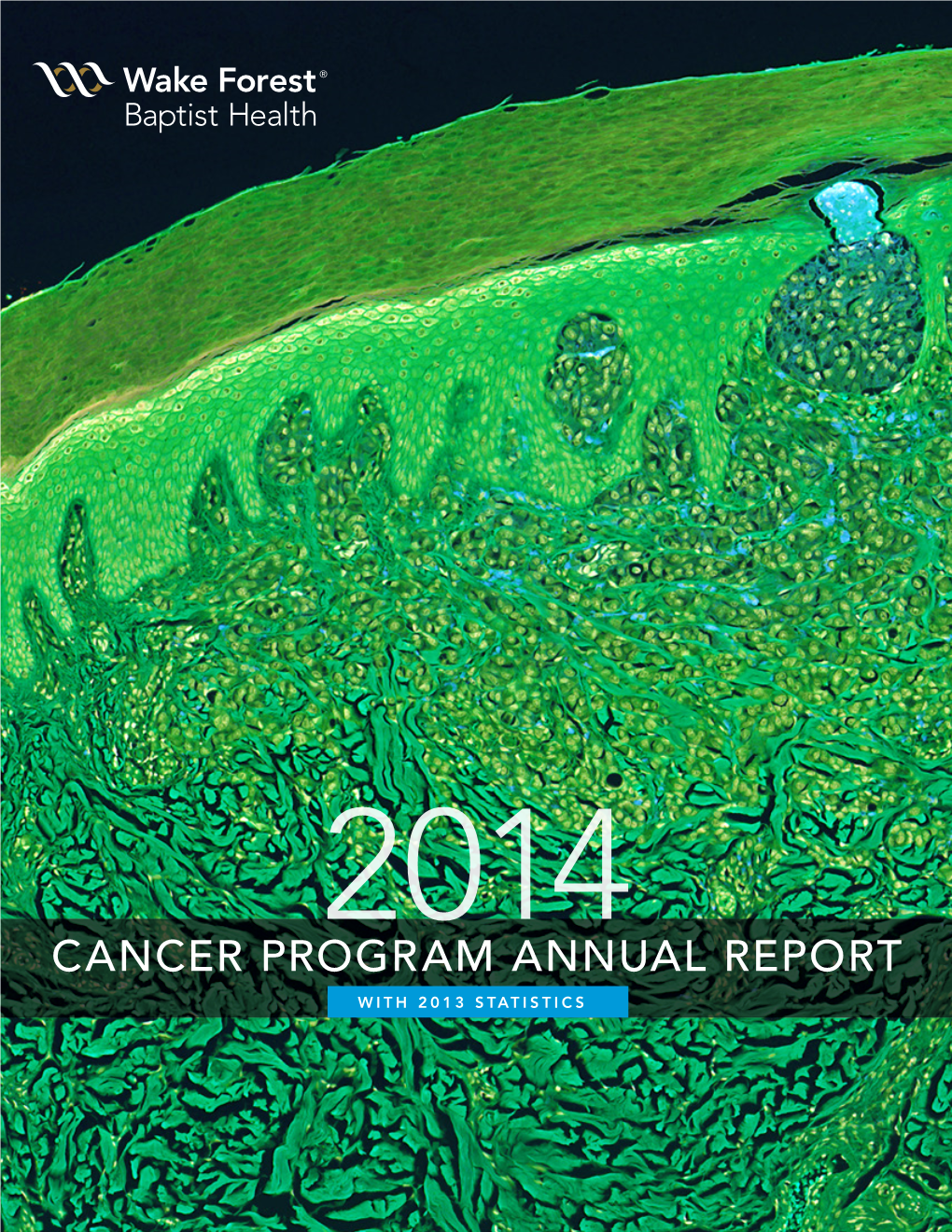 Wake Forest Comprehensive Cancer Center Annual Report 2014