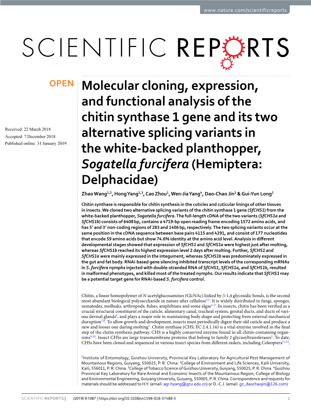 Molecular Cloning, Expression, and Functional Analysis of the Chitin