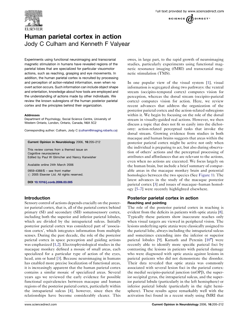 Human Parietal Cortex in Action Jody C Culham and Kenneth F Valyear