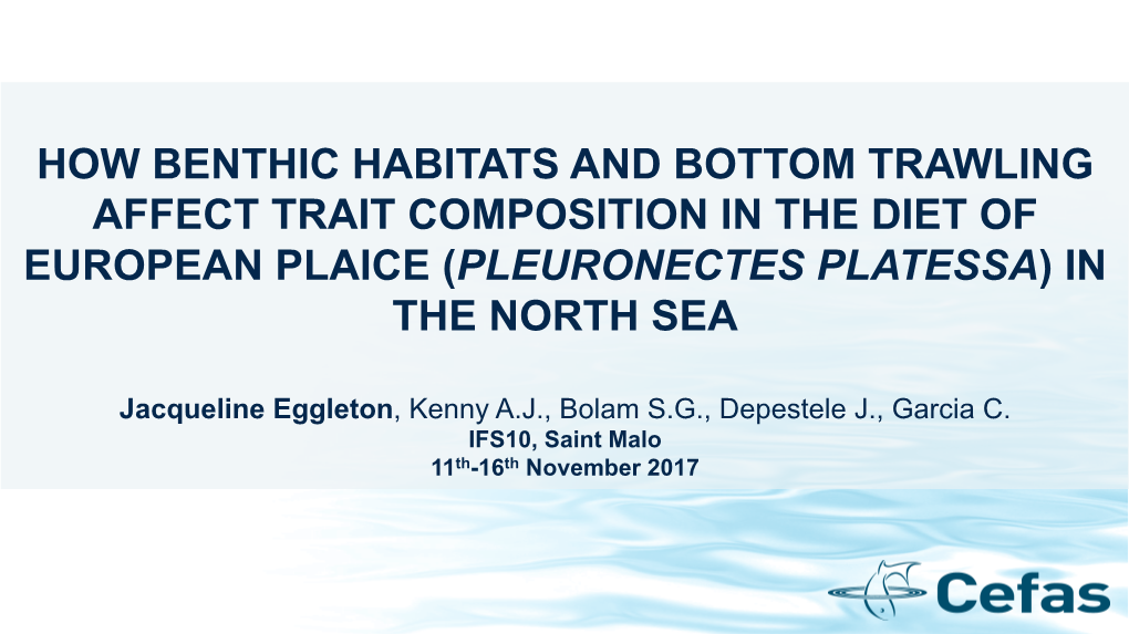 How Benthic Habitats and Bottom Trawling Affect Trait Composition in the Diet of European Plaice (Pleuronectes Platessa) in the North Sea