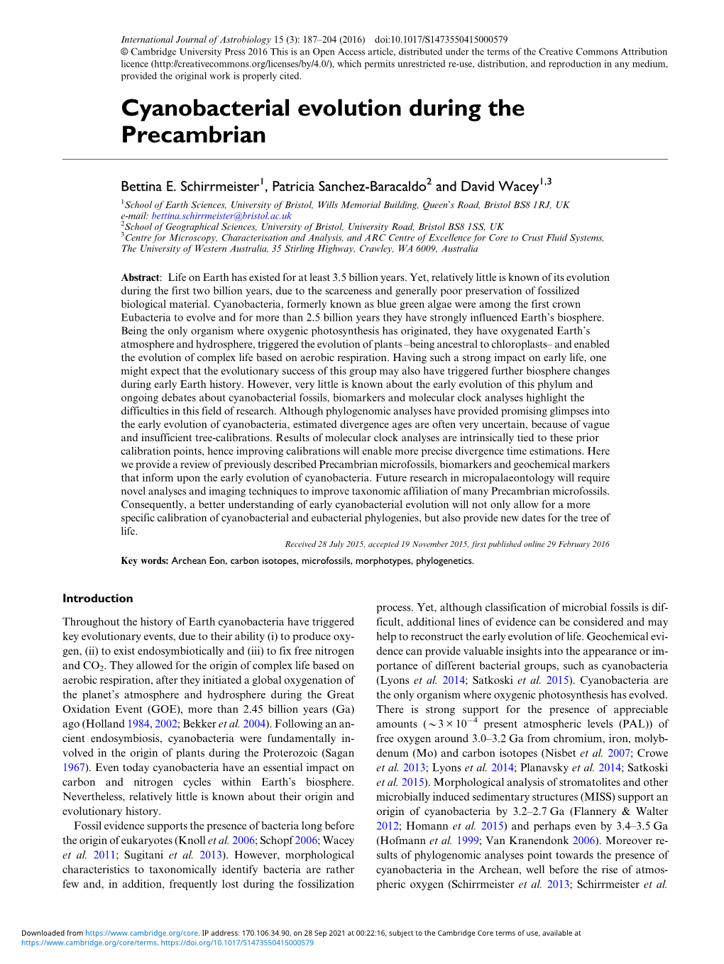 Cyanobacterial Evolution During the Precambrian