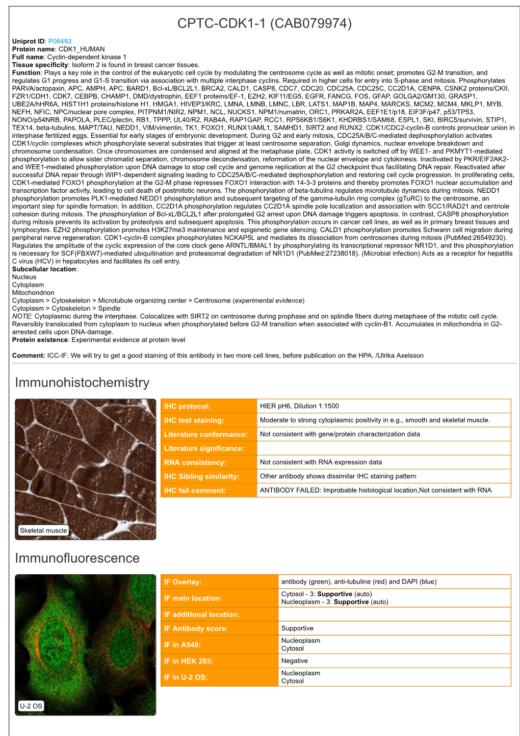 CPTC-CDK1-1 (CAB079974) Immunohistochemistry