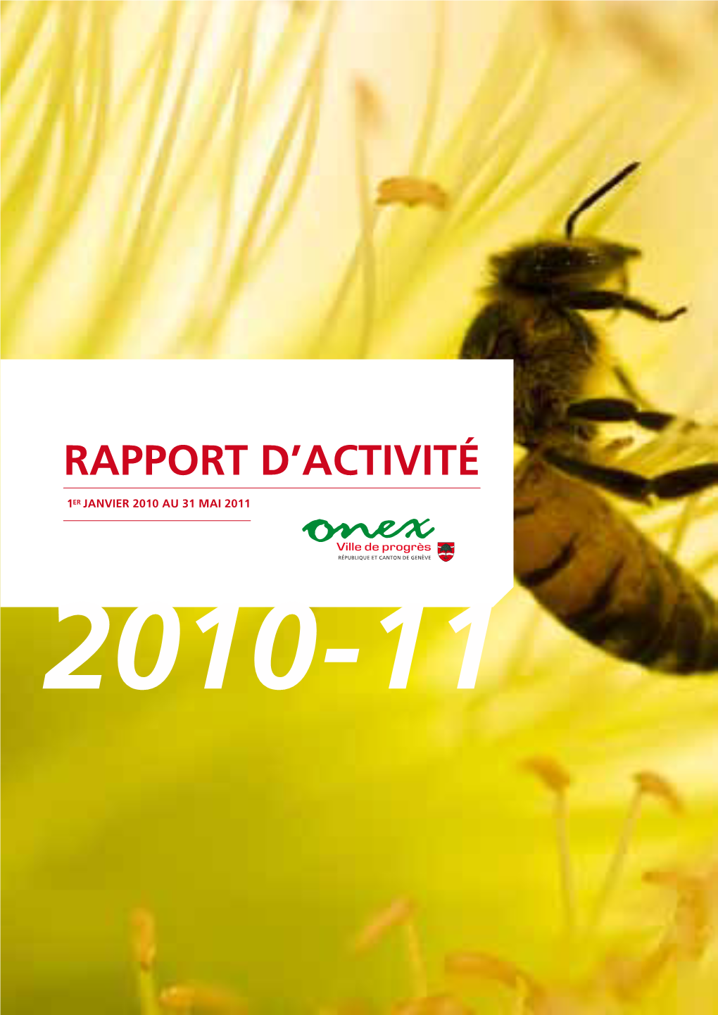 Rapport D'activité