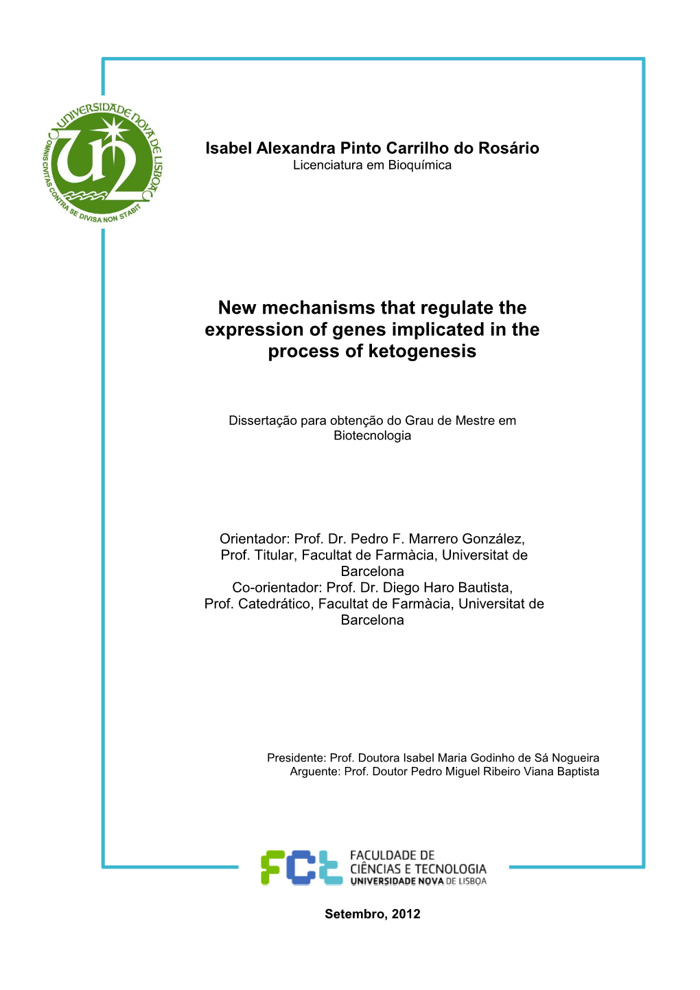 New Mechanisms That Regulate the Expression of Genes Implicated in the Process of Ketogenesis