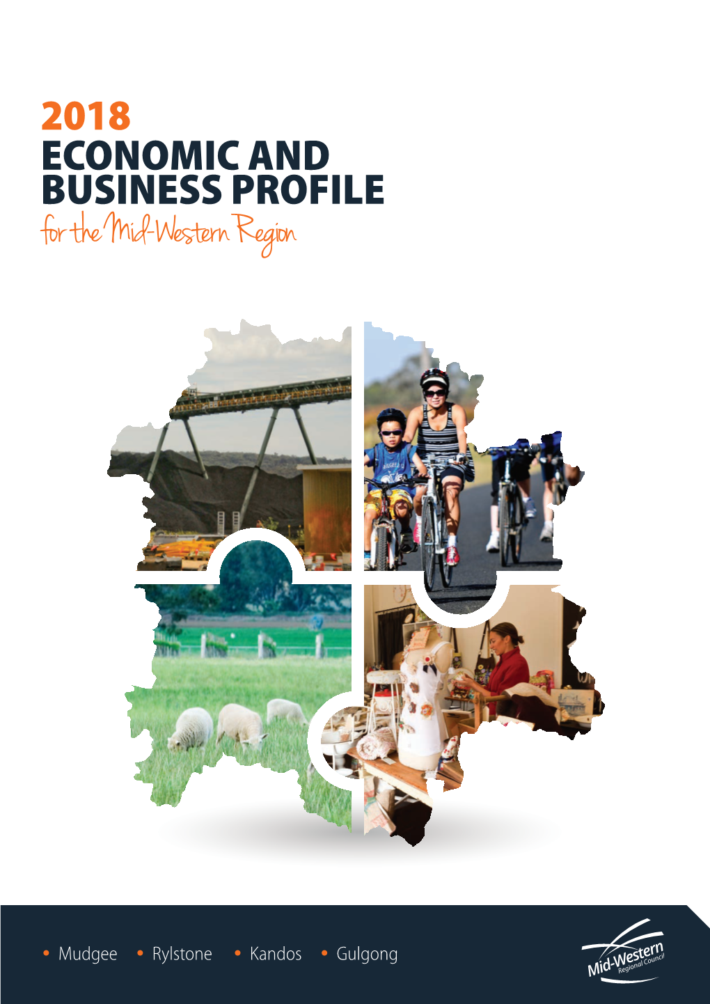 Economic and Business Profile 2018