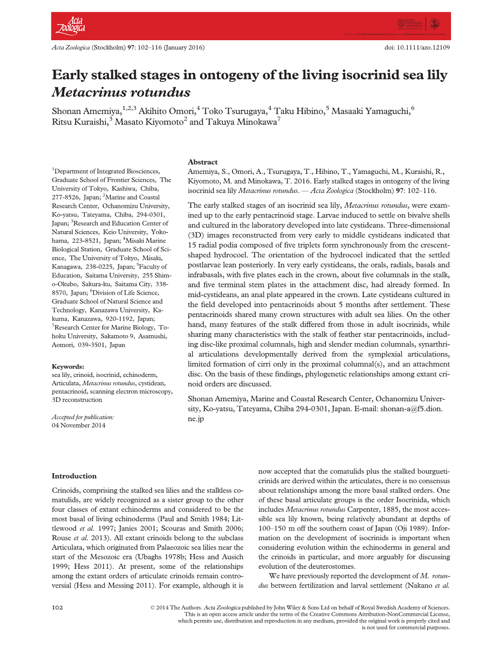 Early Stalked Stages in Ontogeny of the Living Isocrinid Sea Lily Metacrinus Rotundus