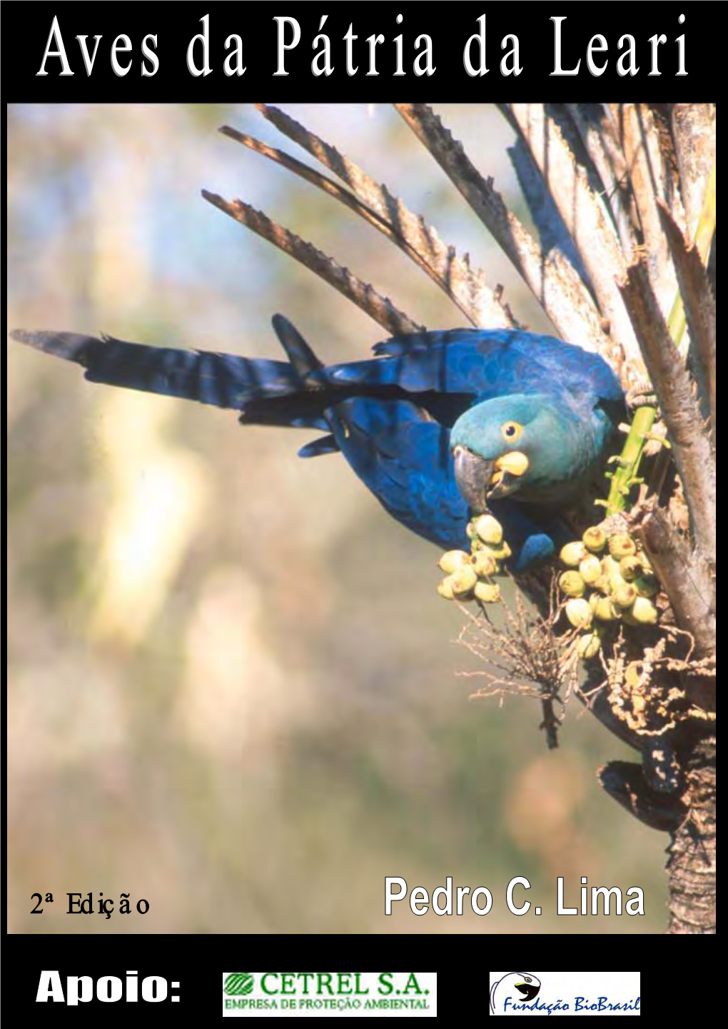 Aves Da Pátria Da Leari