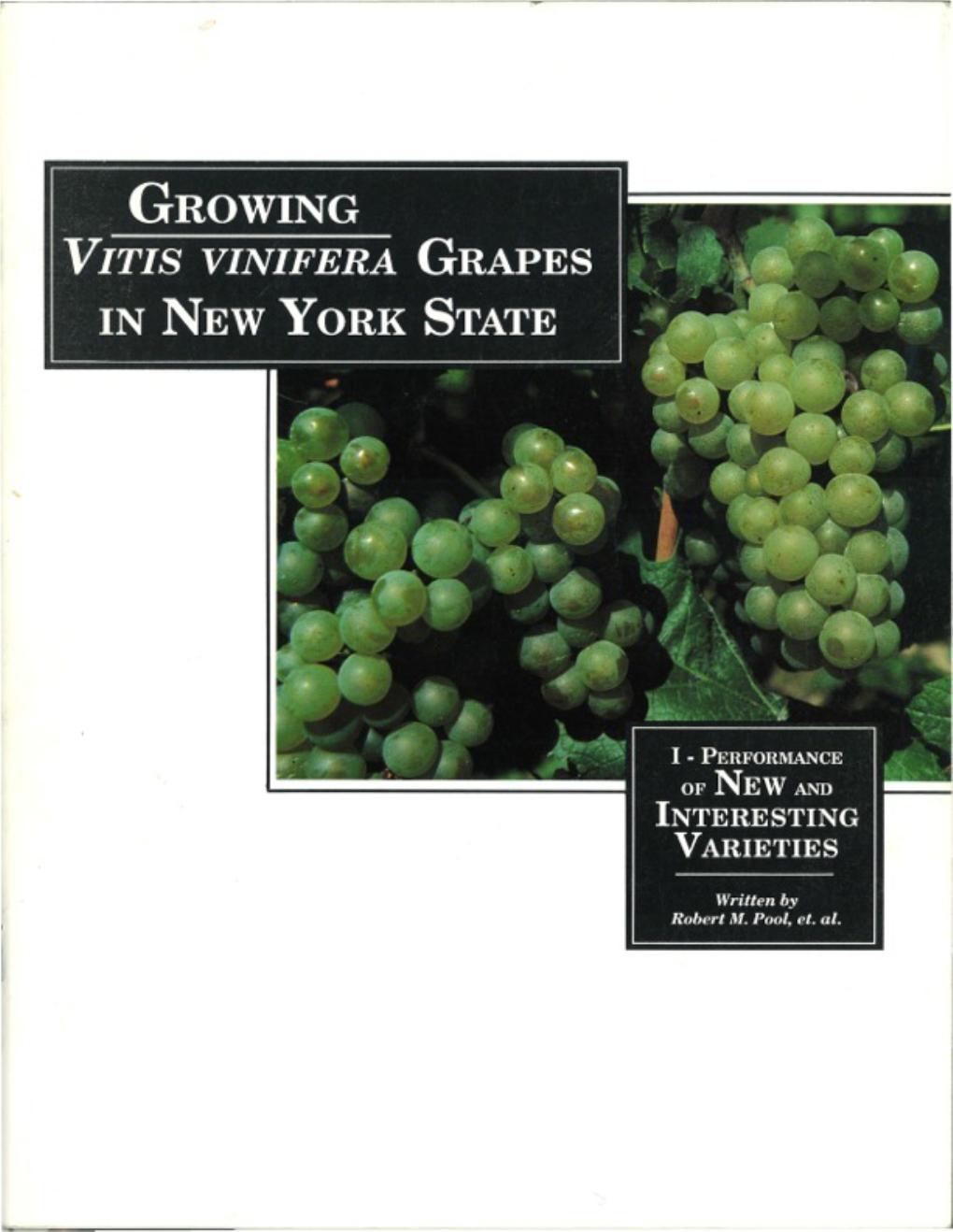 Growing Vitis Vinifera In