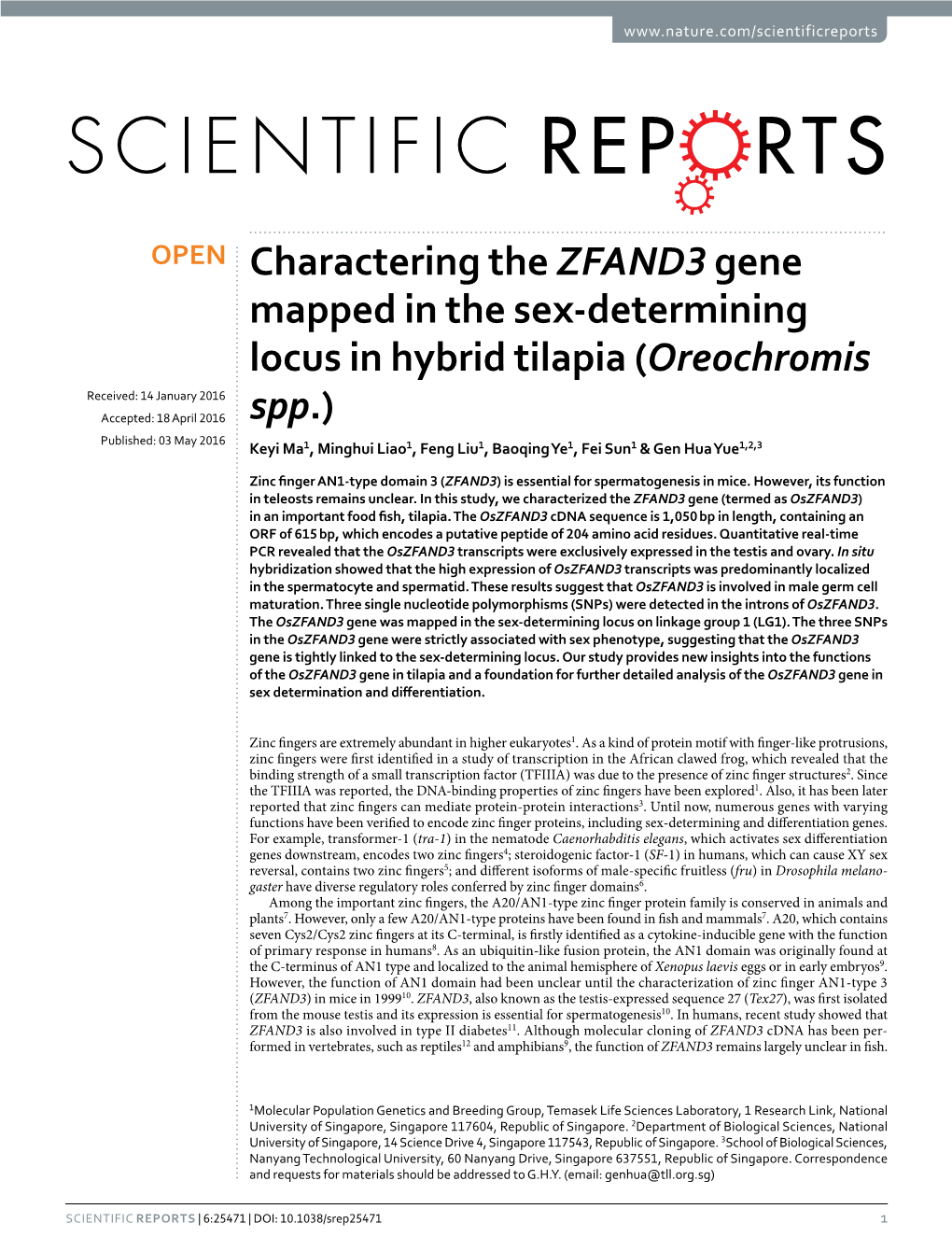 Charactering the ZFAND3 Gene Mapped in the Sex-Determining