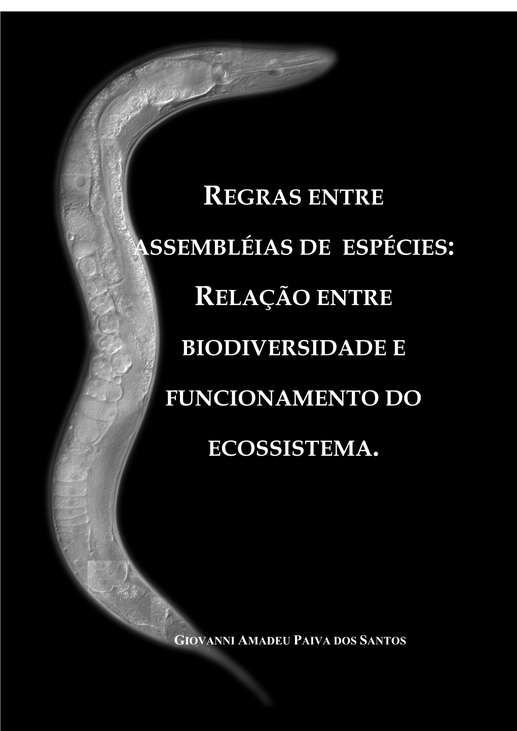 Regras Entre Assembléias De Espécies: Relação Entre Biodiversidade E Funcionamento Do Ecossistema