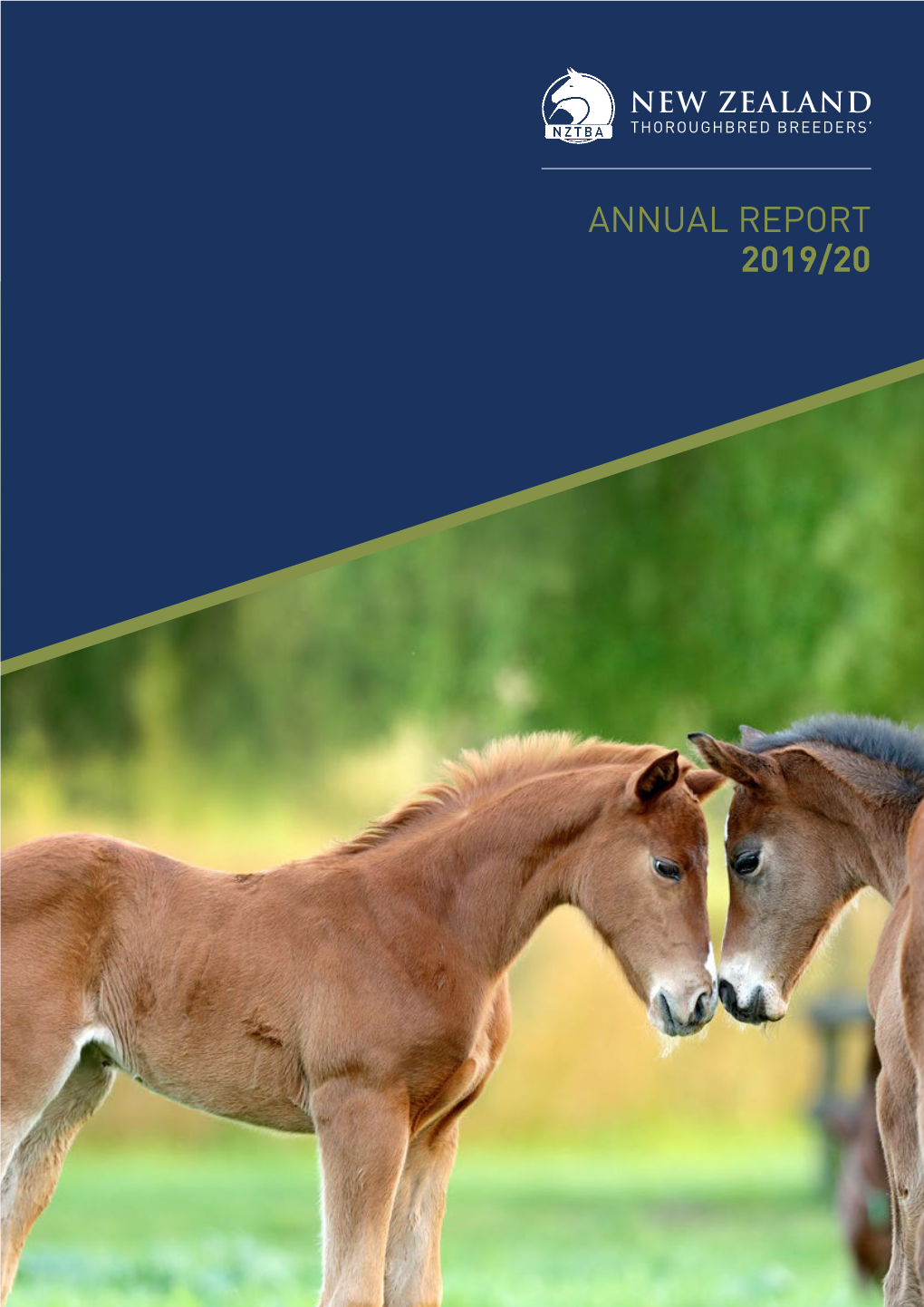 Annual Report 2019/20