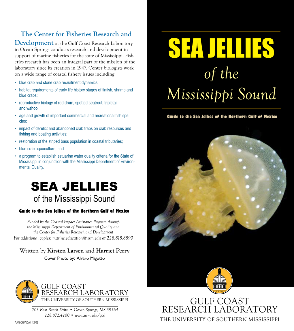 SEA JELLIES of the Mississippi Sound