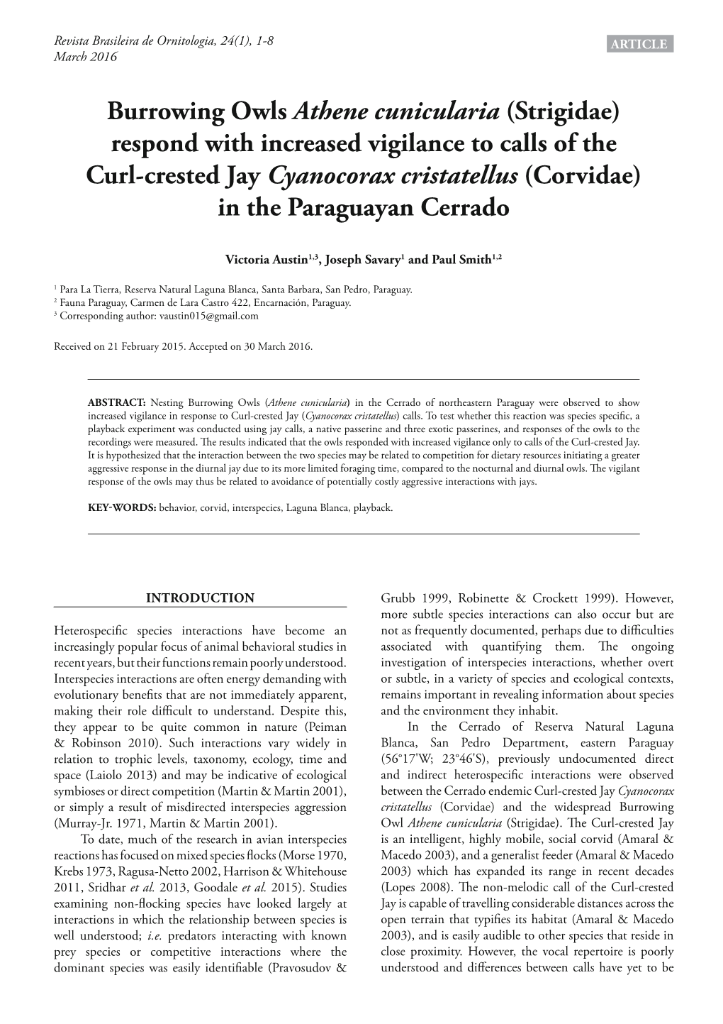 Burrowing Owls Athene Cunicularia (Strigidae) Respond with Increased Vigilance to Calls of the Curl-Crested Jay Cyanocorax Crist