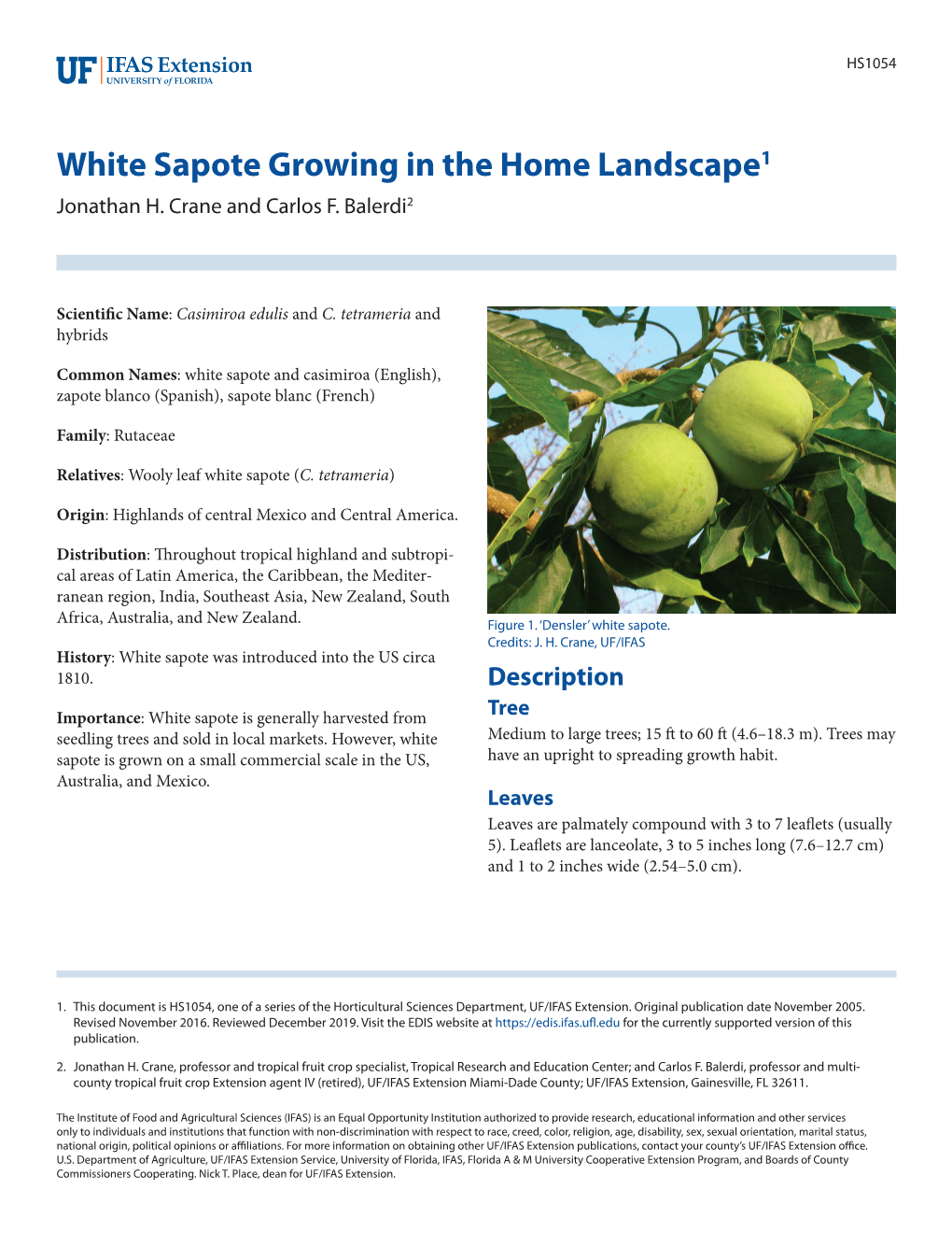 White Sapote Growing in the Home Landscape1 Jonathan H