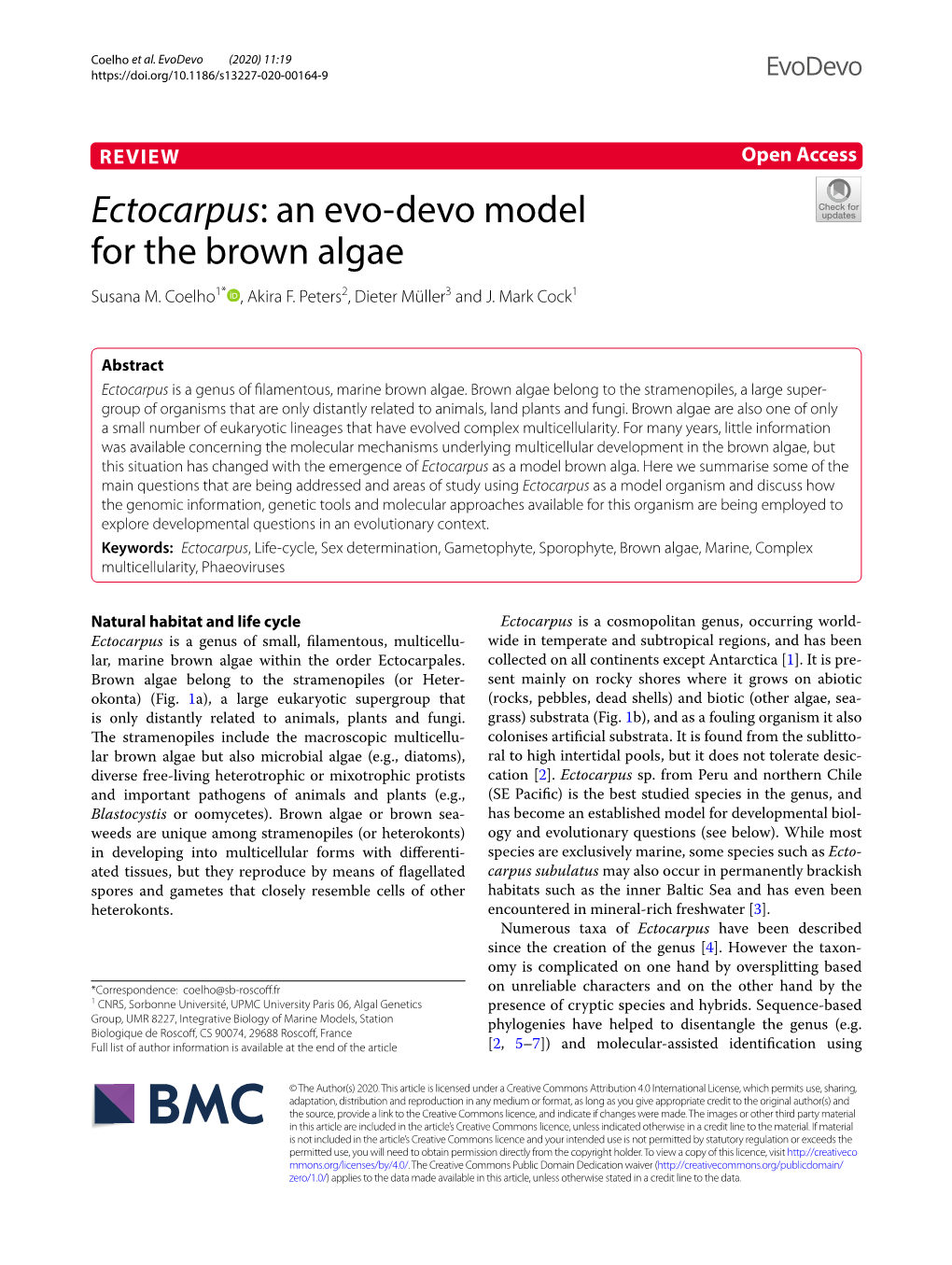 Ectocarpus: an Evo‑Devo Model for the Brown Algae Susana M