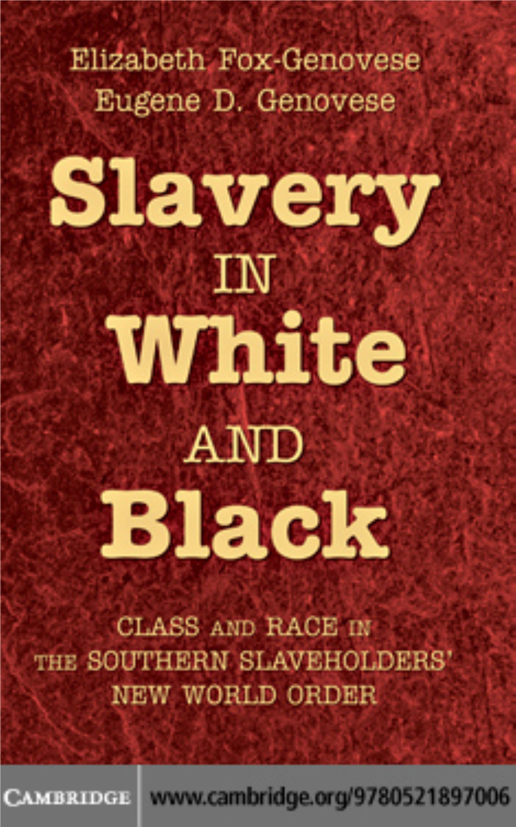 Slavery in White and Black Class and Race in the Southern Slaveholders’ New World Order