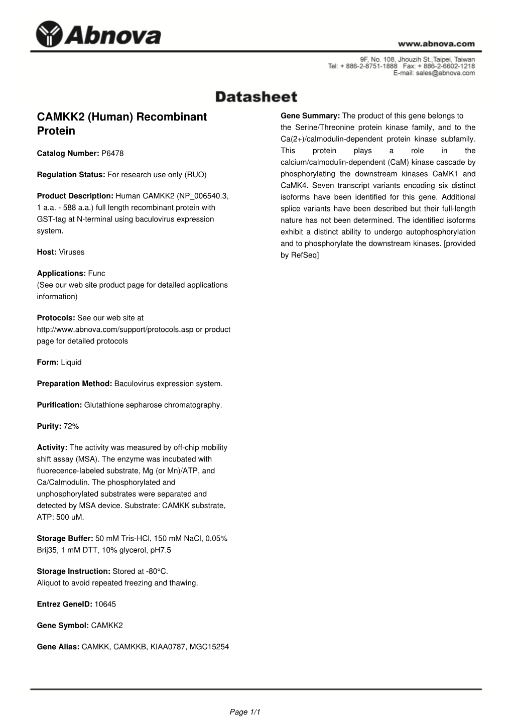 CAMKK2 (Human) Recombinant Protein