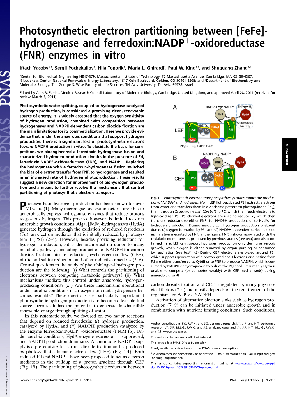 Photosynthetic Electron Partitioning Between [Fefe]- Hydrogenase and Ferredoxin:Nadpþ-Oxidoreductase (FNR) Enzymes in Vitro