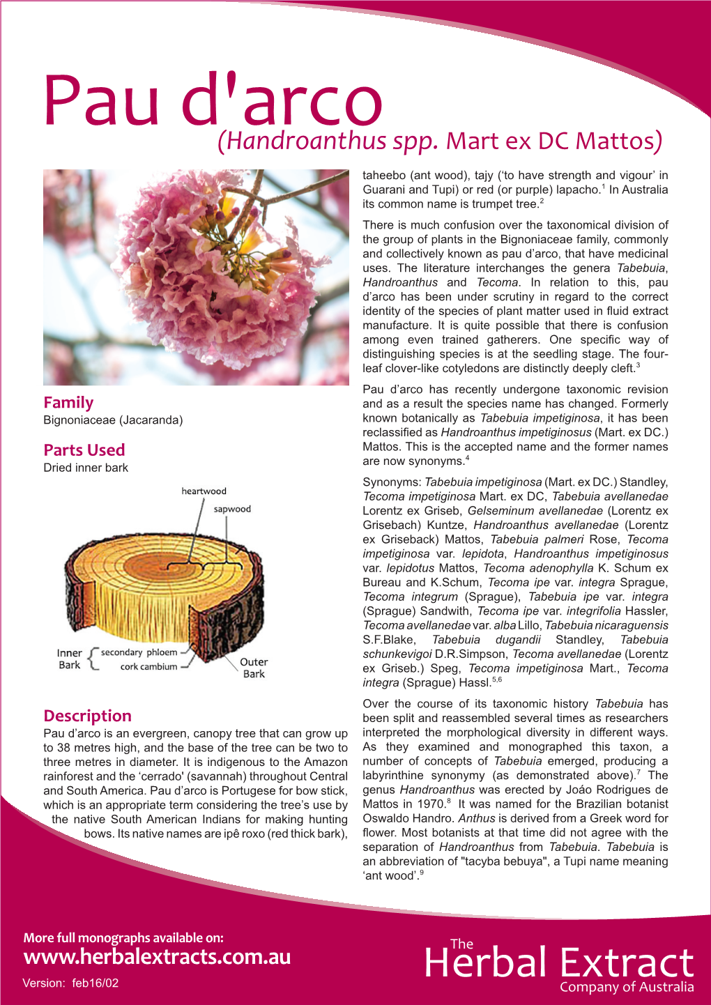 Pau D'arco(Handroanthus Spp