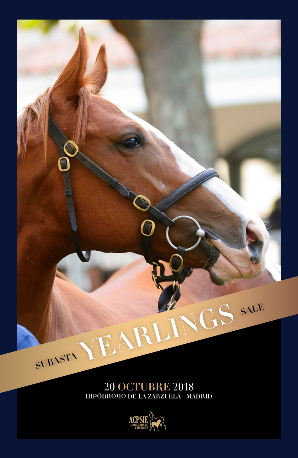 Subasta De Yearlings ACPSIE 2018