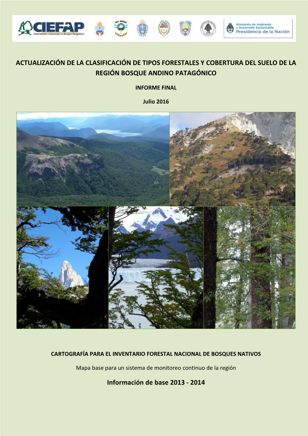 Actualización De La Clasificación De Tipos Forestales Y Cobertura Del Suelo De La Región Bosque Andino Patagónico