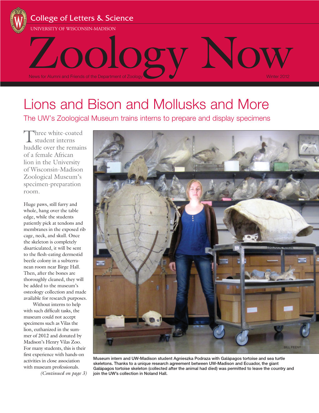 Lions and Bison and Mollusks and More the UW’S Zoological Museum Trains Interns to Prepare and Display Specimens