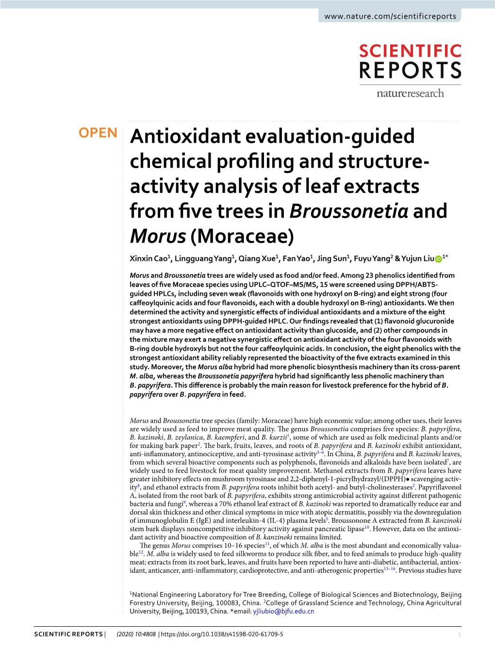 Antioxidant Evaluation-Guided Chemical Profiling and Structure