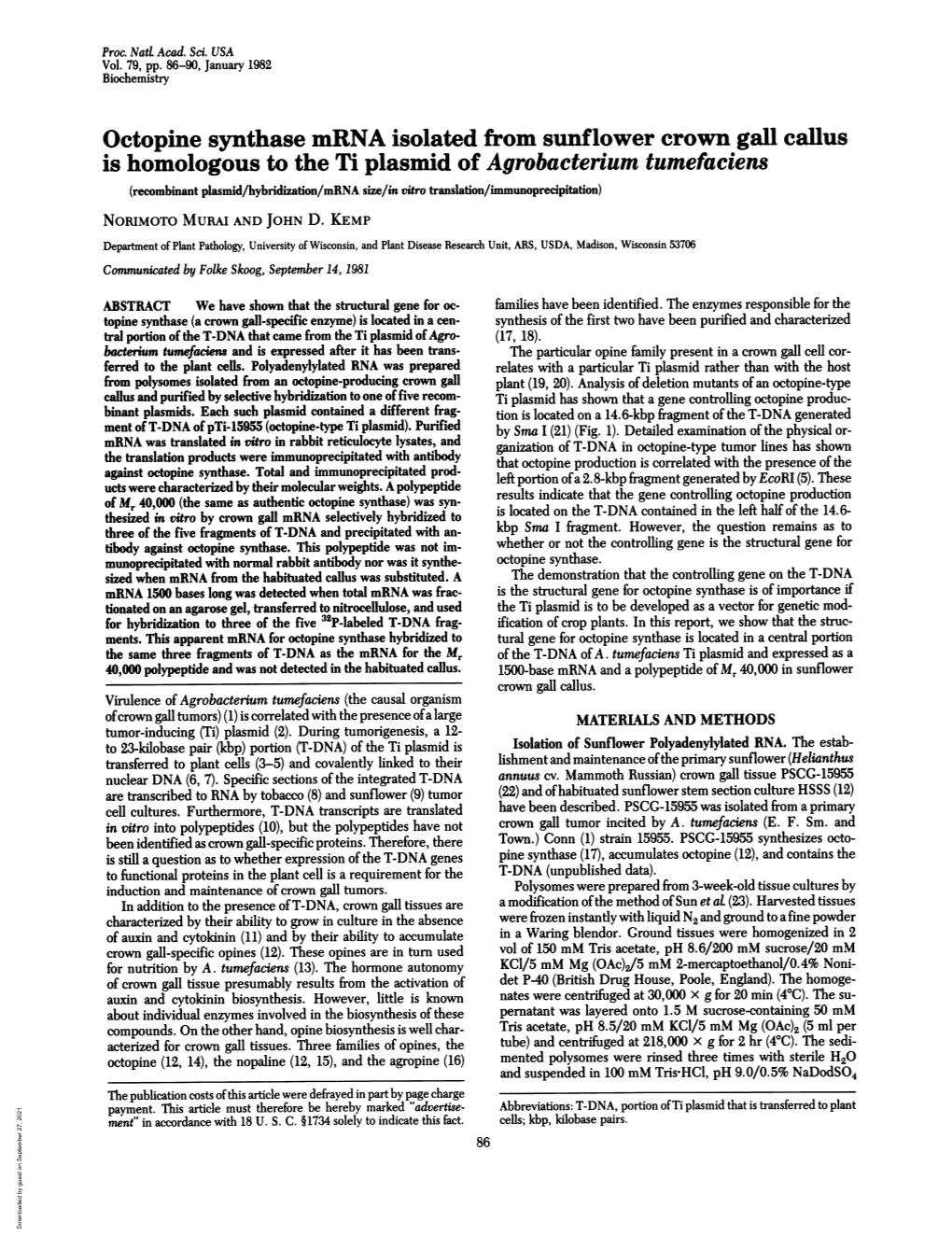 Octopine Synthase Mrna Isolated from Sunflower Crown Gall Callus Is