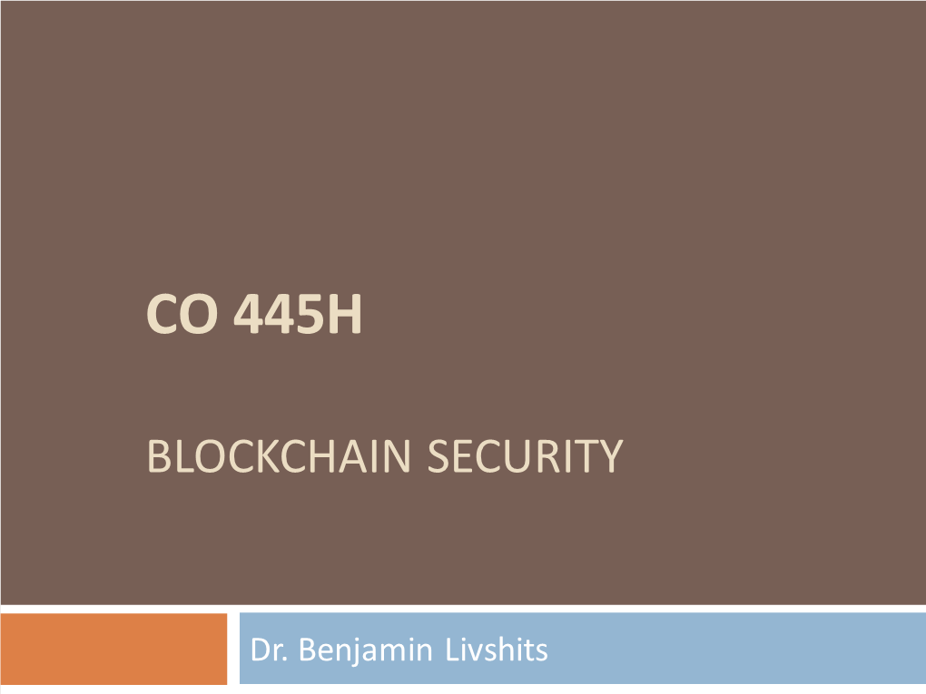 Blockchain Security