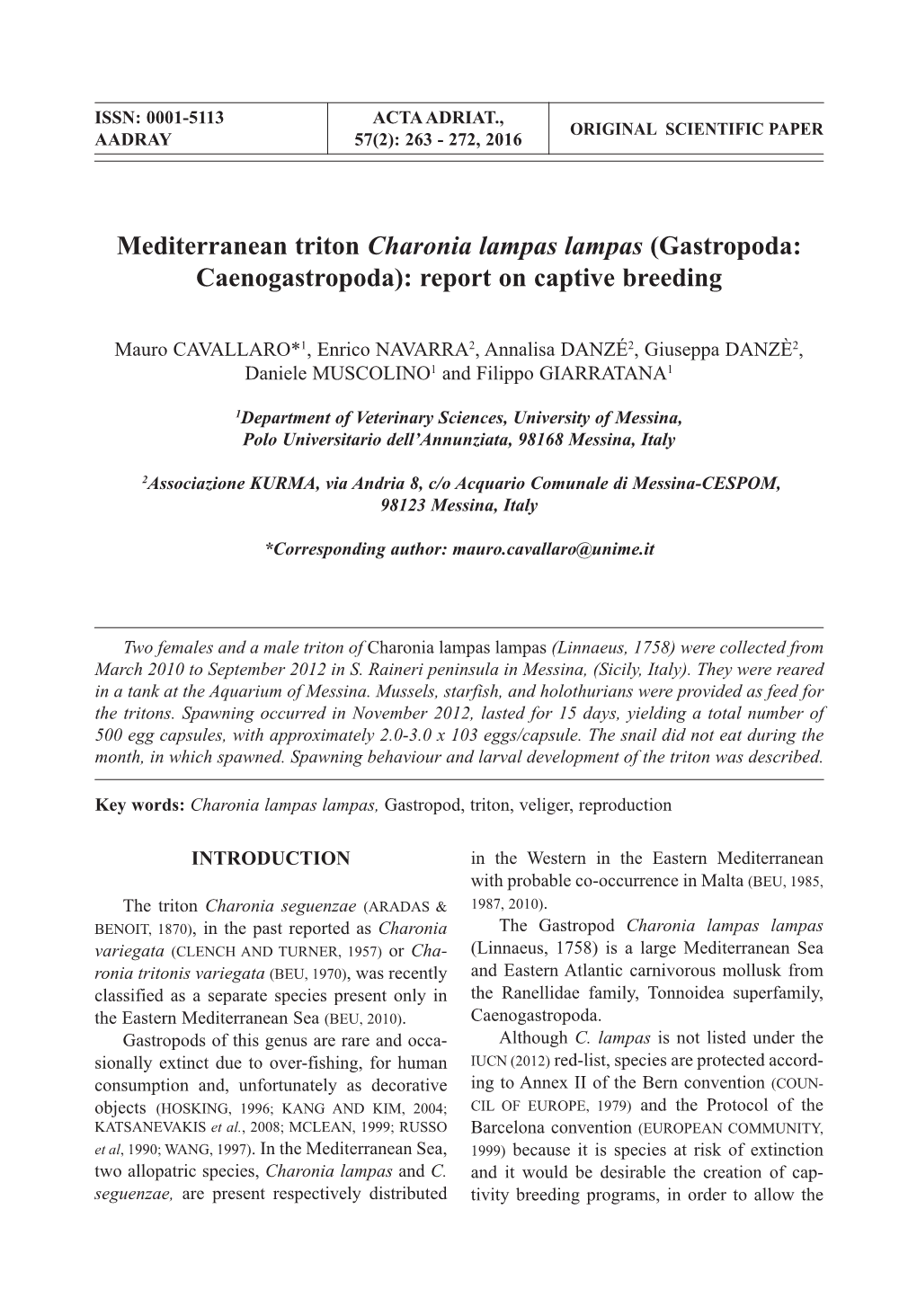 Mediterranean Triton Charonia Lampas Lampas (Gastropoda: Caenogastropoda): Report on Captive Breeding