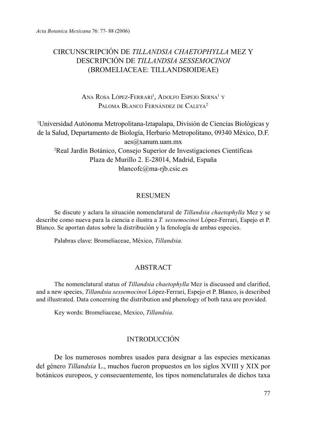 Circunscripción De Tillandsia Chaetophylla Mez Y Descripción De Tillandsia Sessemocinoi (Bromeliaceae: Tillandsioideae)