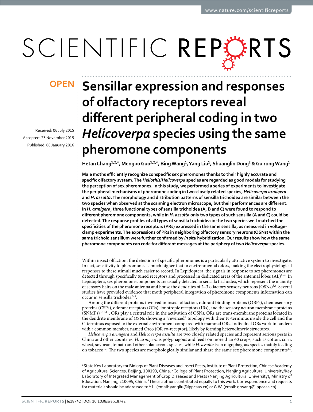 Sensillar Expression and Responses of Olfactory Receptors Reveal Different Peripheral Coding in Two Helicoverpa Species Using the Same Pheromone Components
