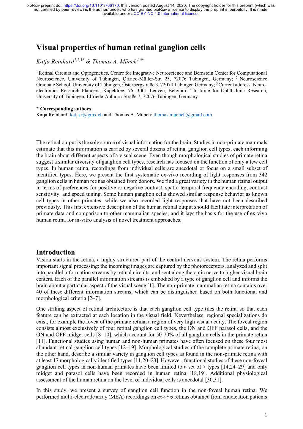 Visual Properties of Human Retinal Ganglion Cells